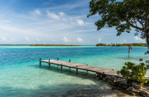 Laguna de Bacalar de tonos turquesa con vegetación caribeña