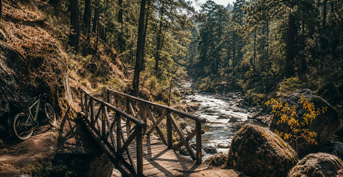 Sendero y puente sobre el rio en Los Dinamos, Ciudad de Mexico