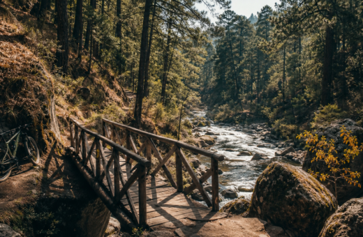 Sendero y puente sobre el rio en Los Dinamos, Ciudad de Mexico